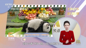 国产高清在线精品一区免费97